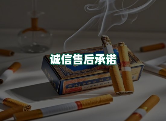 核心优势